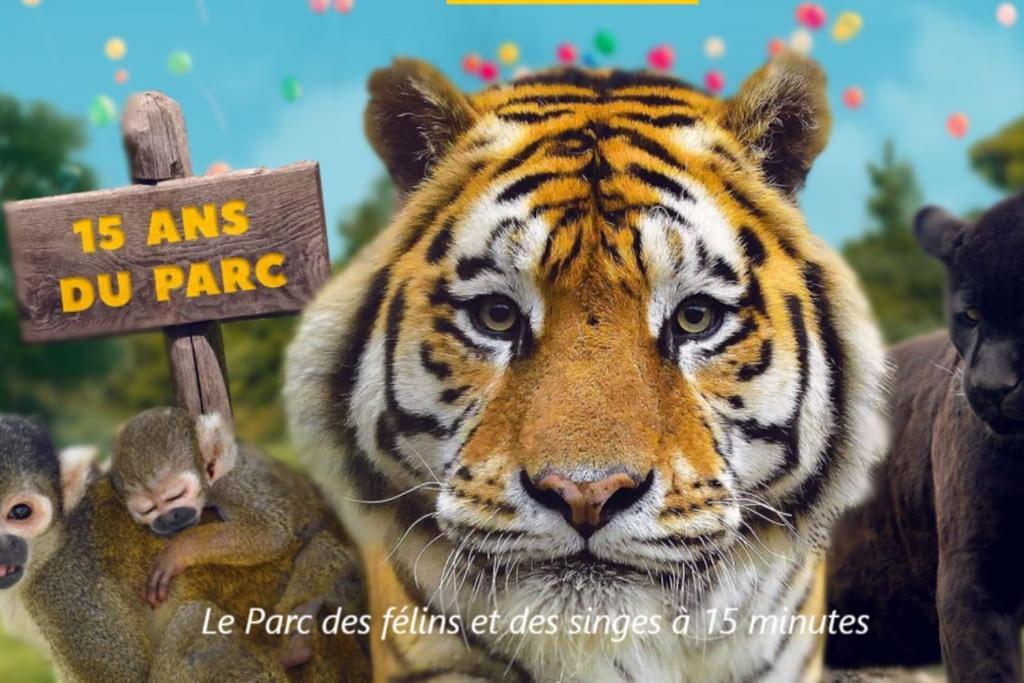 Cocon A La Campagne - Disney 20 Min - Paris 40 Min - 2 Terrasses Dammartin-sur-Tigeaux المظهر الخارجي الصورة